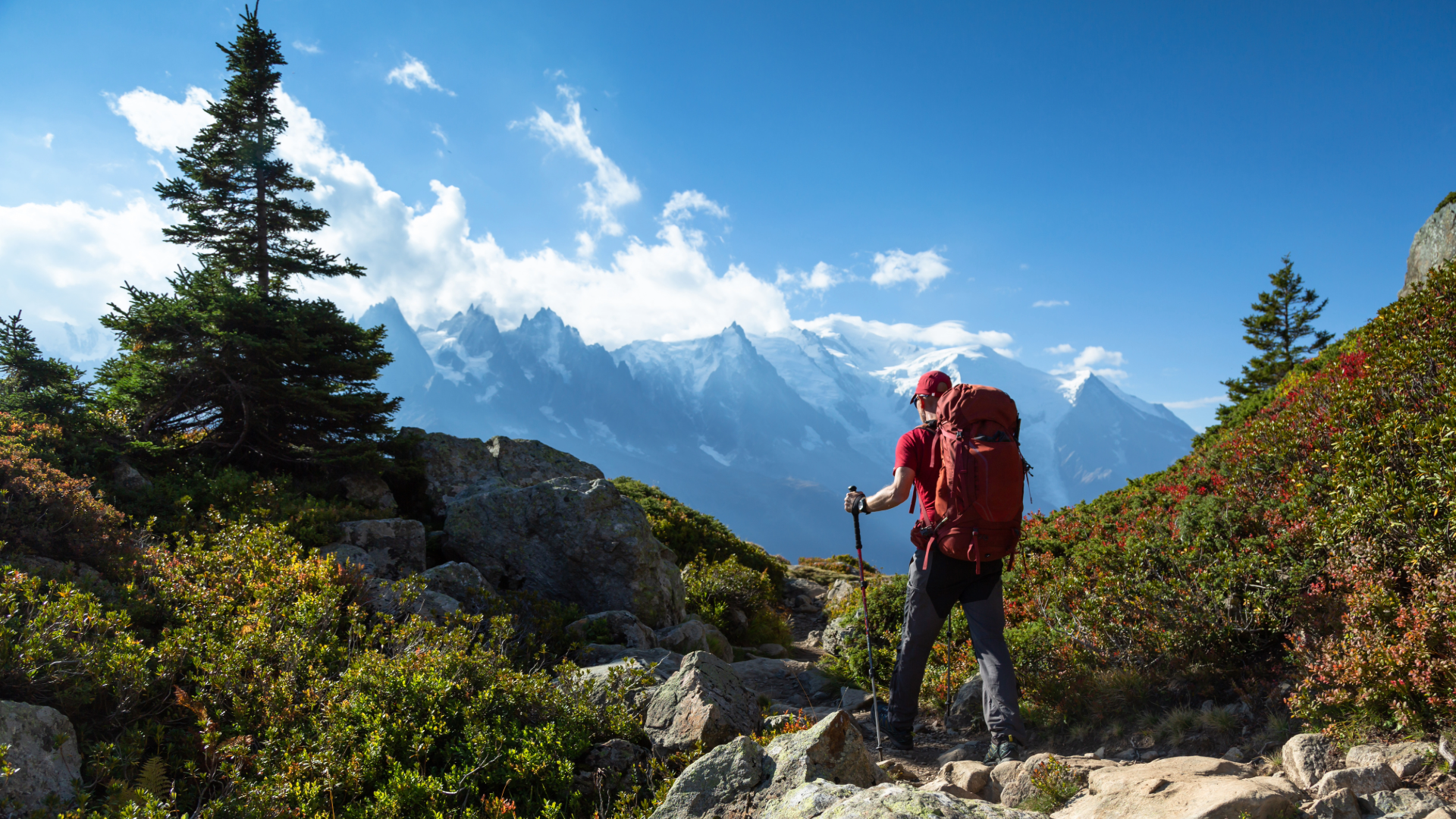 Hiker hiking in the mountains